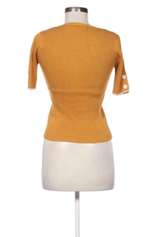 Damenpullover Padini Authentics, Größe S, Farbe Orange, Preis 13,99 €