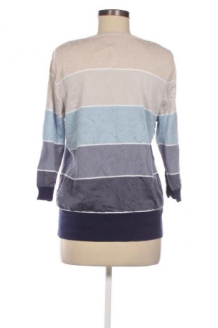 Γυναικείο πουλόβερ Peter Hahn, Μέγεθος XL, Χρώμα Πολύχρωμο, Τιμή 31,71 €