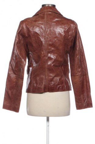 Damska kurtka skórzana Aviatrix International, Rozmiar M, Kolor Brązowy, Cena 340,23 zł