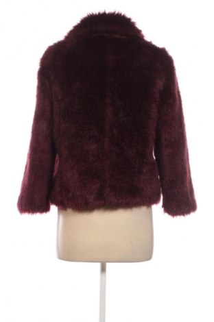 Damenmantel Stradivarius, Größe S, Farbe Rot, Preis € 32,99