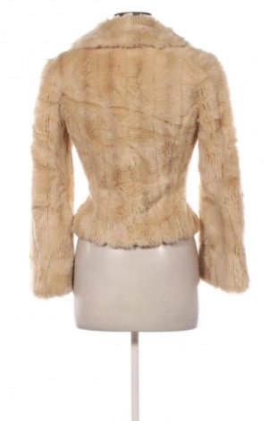 Γυναικείο παλτό Voice Of Europe, Μέγεθος XS, Χρώμα  Μπέζ, Τιμή 35,99 €
