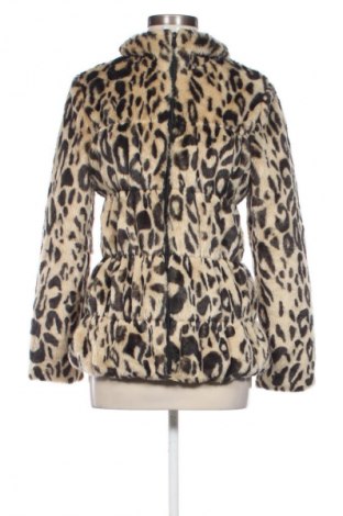 Dámska bunda  Folia, Veľkosť XS, Farba Viacfarebná, Cena  36,95 €