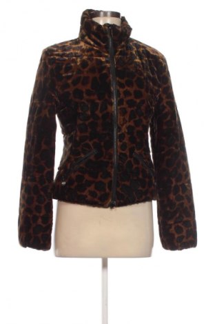 Női dzseki Gil Bret, Méret XS, Szín Sokszínű, Ár 17 800 Ft