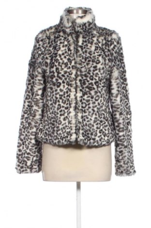 Damenjacke H&M Divided, Größe M, Farbe Mehrfarbig, Preis € 13,99