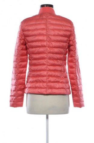 Γυναικείο μπουφάν Jake*s, Μέγεθος M, Χρώμα Ρόζ , Τιμή 62,54 €