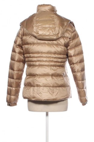 Kurtka damska Massimo Dutti, Rozmiar L, Kolor Złocisty, Cena 722,87 zł