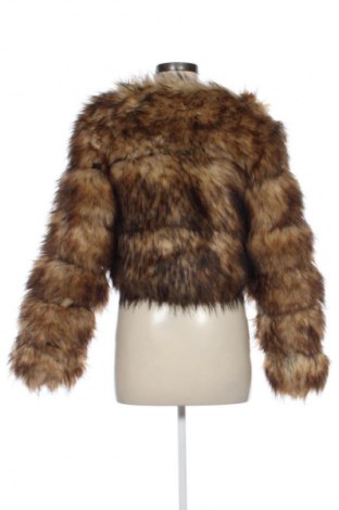 Damenjacke Unbranded, Größe S, Farbe Mehrfarbig, Preis € 37,99