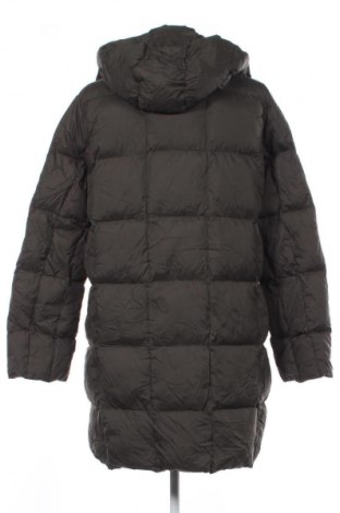 Damenjacke Unbranded, Größe XS, Farbe Grün, Preis € 27,99