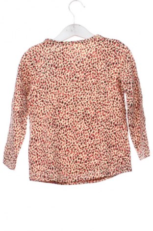 Παιδική μπλούζα Lupilu, Μέγεθος 2-3y/ 98-104 εκ., Χρώμα Πολύχρωμο, Τιμή 9,21 €