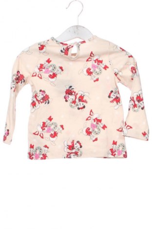 Dziecięca bluzka Pepco, Rozmiar 9-12m/ 74-80 cm, Kolor Kolorowy, Cena 41,00 zł