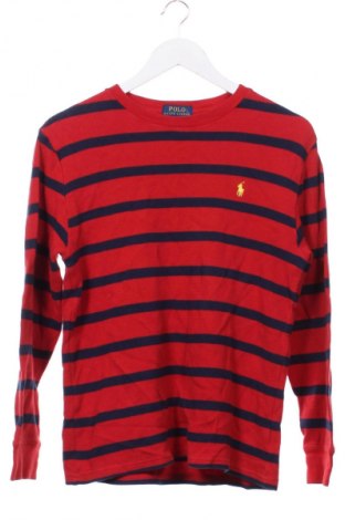 Detská blúzka  Polo Ralph Lauren, Veľkosť 15-18y/ 170-176 cm, Farba Viacfarebná, Cena  21,95 €
