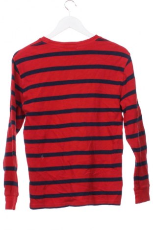 Detská blúzka  Polo Ralph Lauren, Veľkosť 15-18y/ 170-176 cm, Farba Viacfarebná, Cena  21,95 €