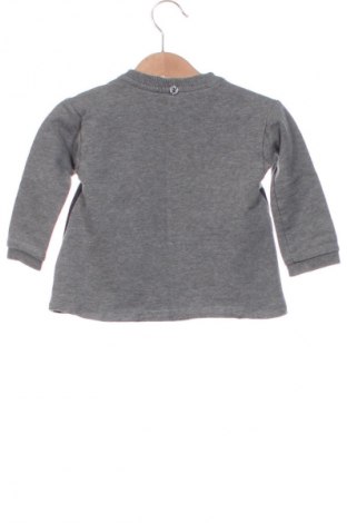 Dziecięca bluzka Scicco, Rozmiar 9-12m/ 74-80 cm, Kolor Kolorowy, Cena 27,59 zł