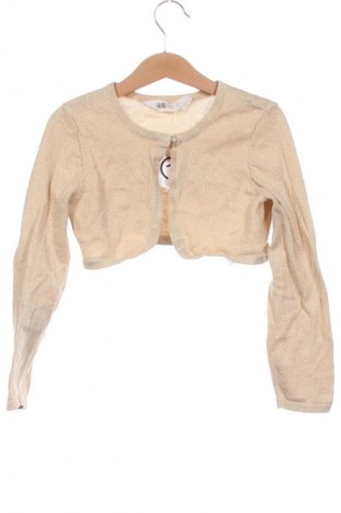 Παιδική ζακέτα H&M, Μέγεθος 4-5y/ 110-116 εκ., Χρώμα Πολύχρωμο, Τιμή 7,99 €
