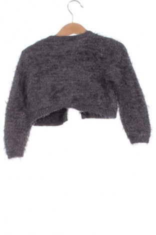 Pulover cu nasturi pentru copii Topolino, Mărime 2-3y/ 98-104 cm, Culoare Multicolor, Preț 14,99 Lei