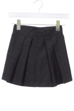 Dziecięca spódnica Unbranded, Rozmiar 8-9y/ 134-140 cm, Kolor Szary, Cena 43,68 zł