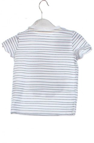 Gyerek póló In Extenso, Méret 9-12m / 74-80 cm, Szín Sokszínű, Ár 2 400 Ft