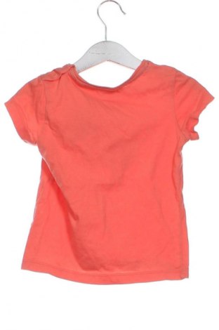 Dziecięcy T-shirt Lupilu, Rozmiar 18-24m/ 86-98 cm, Kolor Pomarańczowy, Cena 27,59 zł