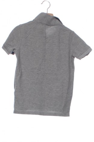 Gyerek póló U.S. Polo Assn., Méret 9-10y / 140-146 cm, Szín Szürke, Ár 4 000 Ft