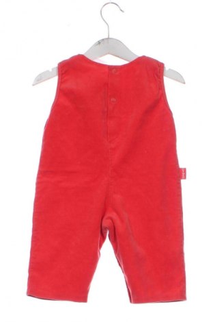 Kinder Overall Unbranded, Größe 3-6m/ 62-68 cm, Farbe Rot, Preis € 16,37