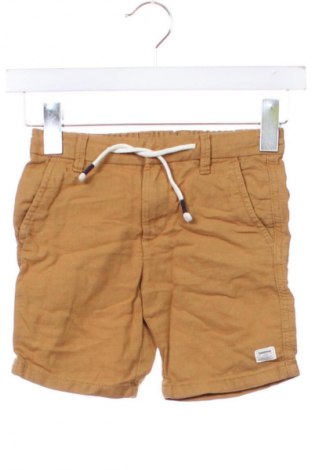 Detské krátke nohavice  C established 1946, Veľkosť 3-4y/ 104-110 cm, Farba Hnedá, Cena  6,95 €