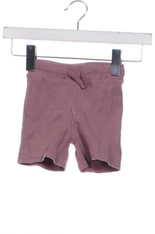 Detské krátke nohavice  Tex, Veľkosť 3-6m/ 62-68 cm, Farba Fialová, Cena  6,95 €