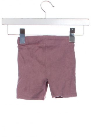 Detské krátke nohavice  Tex, Veľkosť 3-6m/ 62-68 cm, Farba Fialová, Cena  6,95 €