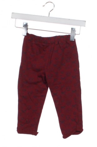 Dziecięce spodnie Harry Potter, Rozmiar 18-24m/ 86-98 cm, Kolor Kolorowy, Cena 37,99 zł