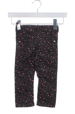 Детски панталон Lupilu, Размер 12-18m/ 80-86 см, Цвят Многоцветен, Цена 22,46 лв.