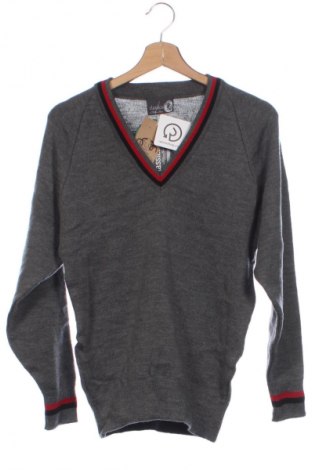 Детски пуловер Unbranded, Размер 14-15y/ 168-170 см, Цвят Сив, Цена 22,99 лв.