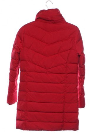 Dětská bunda  Canda, Velikost 10-11y/ 146-152 cm, Barva Červená, Cena  544,00 Kč