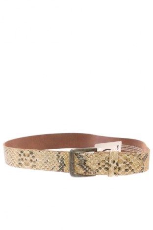 Ζώνη Canda, Χρώμα Πολύχρωμο, Τιμή 27,70 €