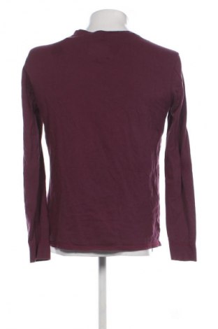 Męska bluzka Guess, Rozmiar M, Kolor Fioletowy, Cena 73,56 zł