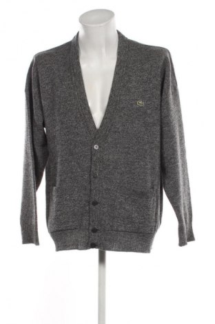 Ανδρική ζακέτα Lacoste, Μέγεθος XL, Χρώμα Πολύχρωμο, Τιμή 53,00 €