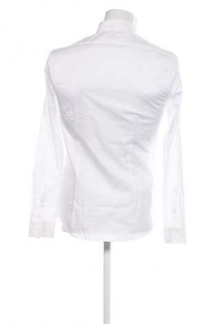 Herrenhemd Calvin Klein, Größe L, Farbe Weiß, Preis 83,99 €