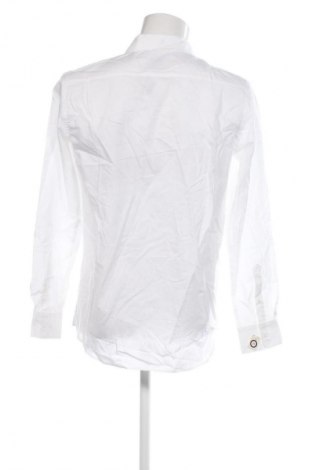 Ανδρικό πουκάμισο Canda, Μέγεθος M, Χρώμα Λευκό, Τιμή 24,00 €