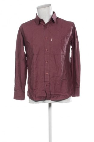 Herrenhemd Century, Größe L, Farbe Lila, Preis 4,99 €