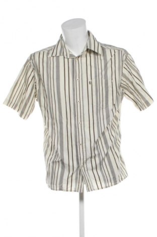 Herrenhemd Tom Tailor, Größe L, Farbe Mehrfarbig, Preis 15,55 €