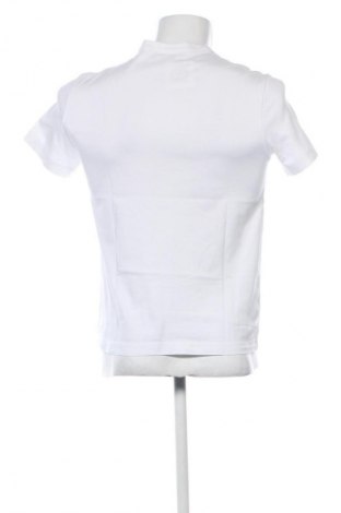Herren Shirt Lacoste, Größe S, Farbe Weiß, Preis 28,99 €