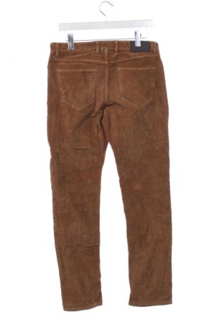 Męskie sztruksy Michael Kors, Rozmiar S, Kolor Brązowy, Cena 183,99 zł