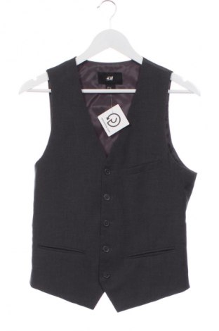 Ανδρικό γιλέκο H&M, Μέγεθος S, Χρώμα Γκρί, Τιμή 14,83 €