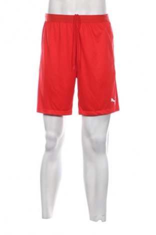 Męskie szorty PUMA, Rozmiar L, Kolor Czerwony, Cena 46,99 zł