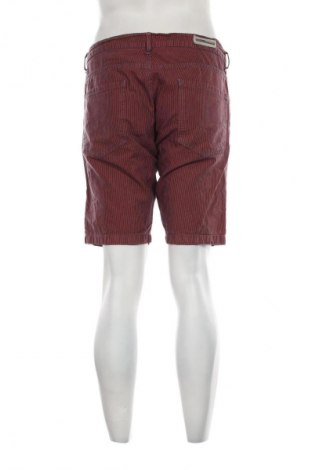 Pantaloni scurți de bărbați Teodor, Mărime XL, Culoare Multicolor, Preț 89,47 Lei