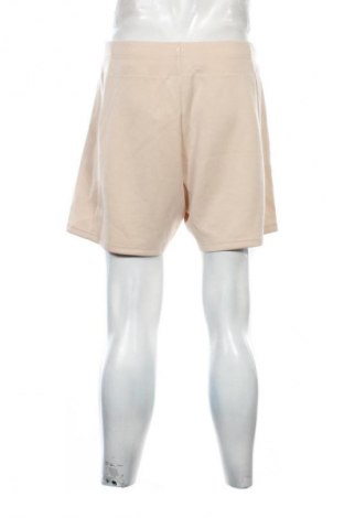 Herren Shorts Venice Beach, Größe L, Farbe Beige, Preis 41,99 €