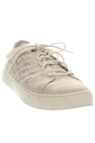 Férfi cipők
 Toms, Méret 41, Szín Bézs, Ár 14 979 Ft