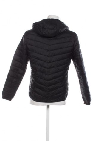 Herrenjacke Hollister, Größe S, Farbe Schwarz, Preis 41,99 €