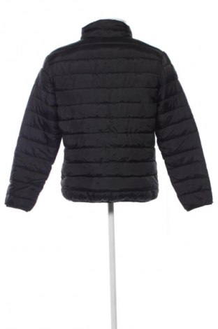 Herrenjacke Identic, Größe M, Farbe Schwarz, Preis 20,99 €