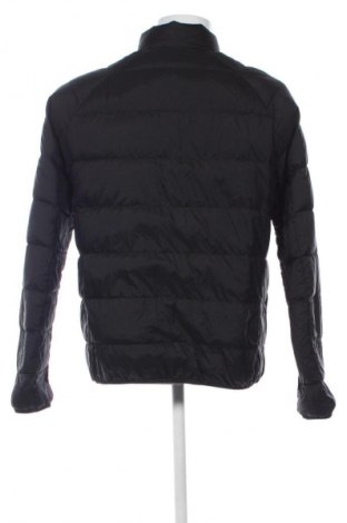 Herrenjacke Tommy Jeans, Größe L, Farbe Schwarz, Preis 43,99 €