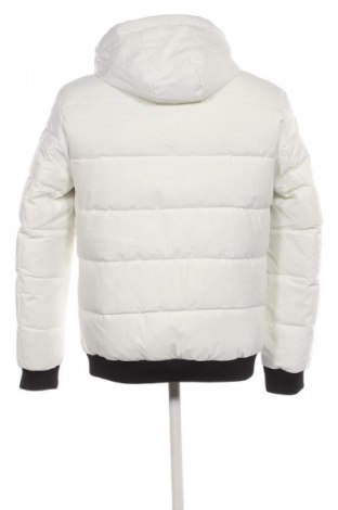 Herrenjacke Unbranded, Größe L, Farbe Mehrfarbig, Preis 39,99 €