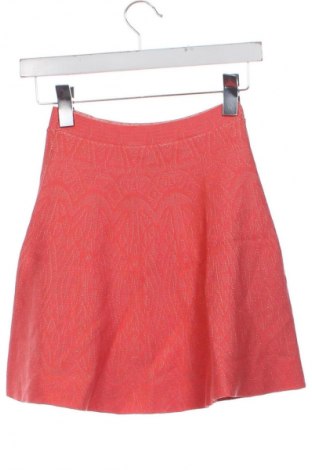 Fustă BCBG Max Azria, Mărime XS, Culoare Multicolor, Preț 216,08 Lei